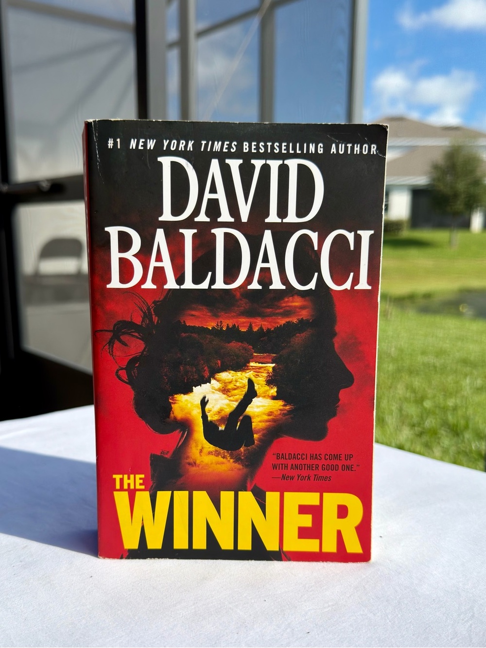 The Winner David Baldacci Crime Thriller Mystery Paperback